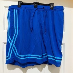 Nike Fly Women’s Basketball Shorts 6in inseam. Sized XXL